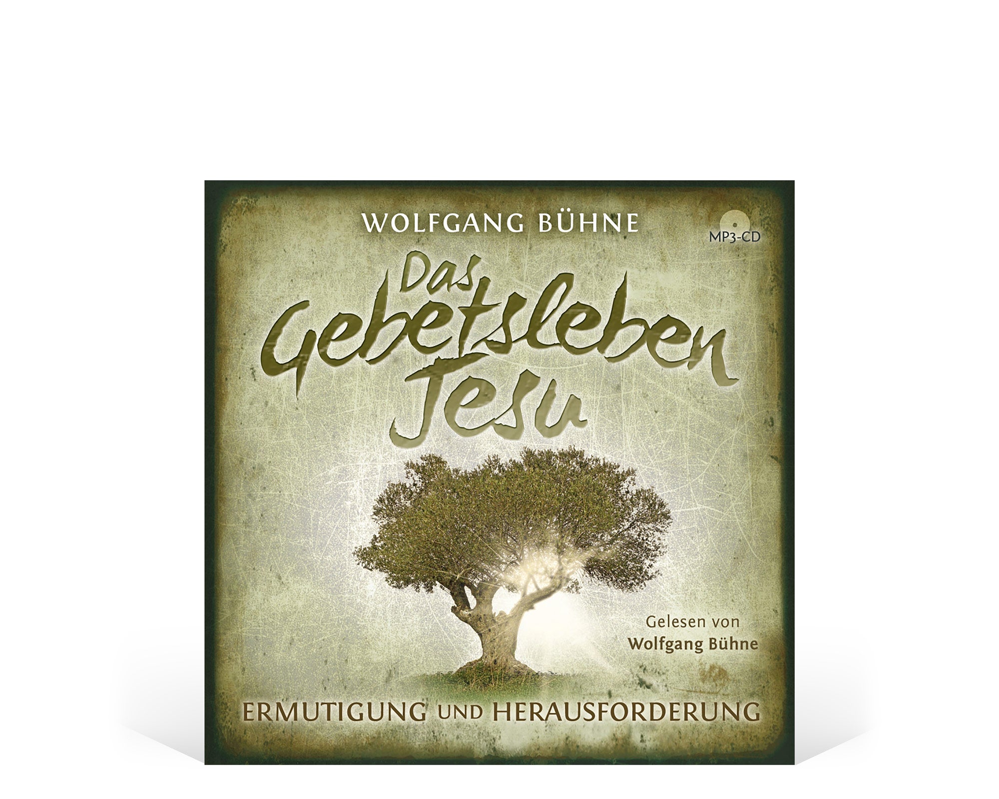 Das Gebetsleben Jesu [Hörbuch, MP3-CD]