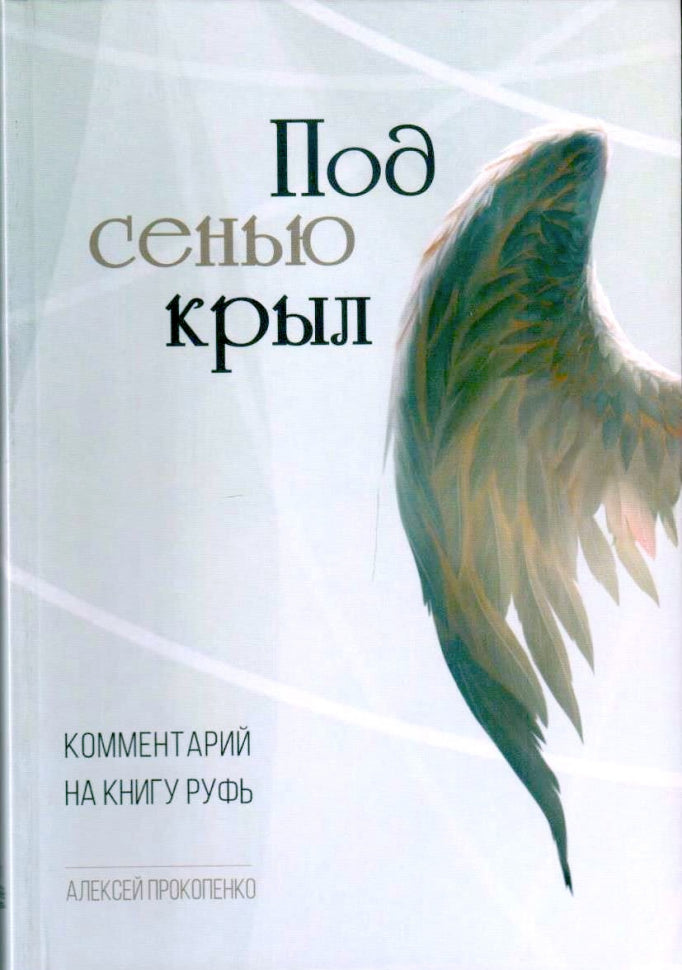 Вечером крыло полетело. Комментарии к книге Руфус - Алексей Прокопенко