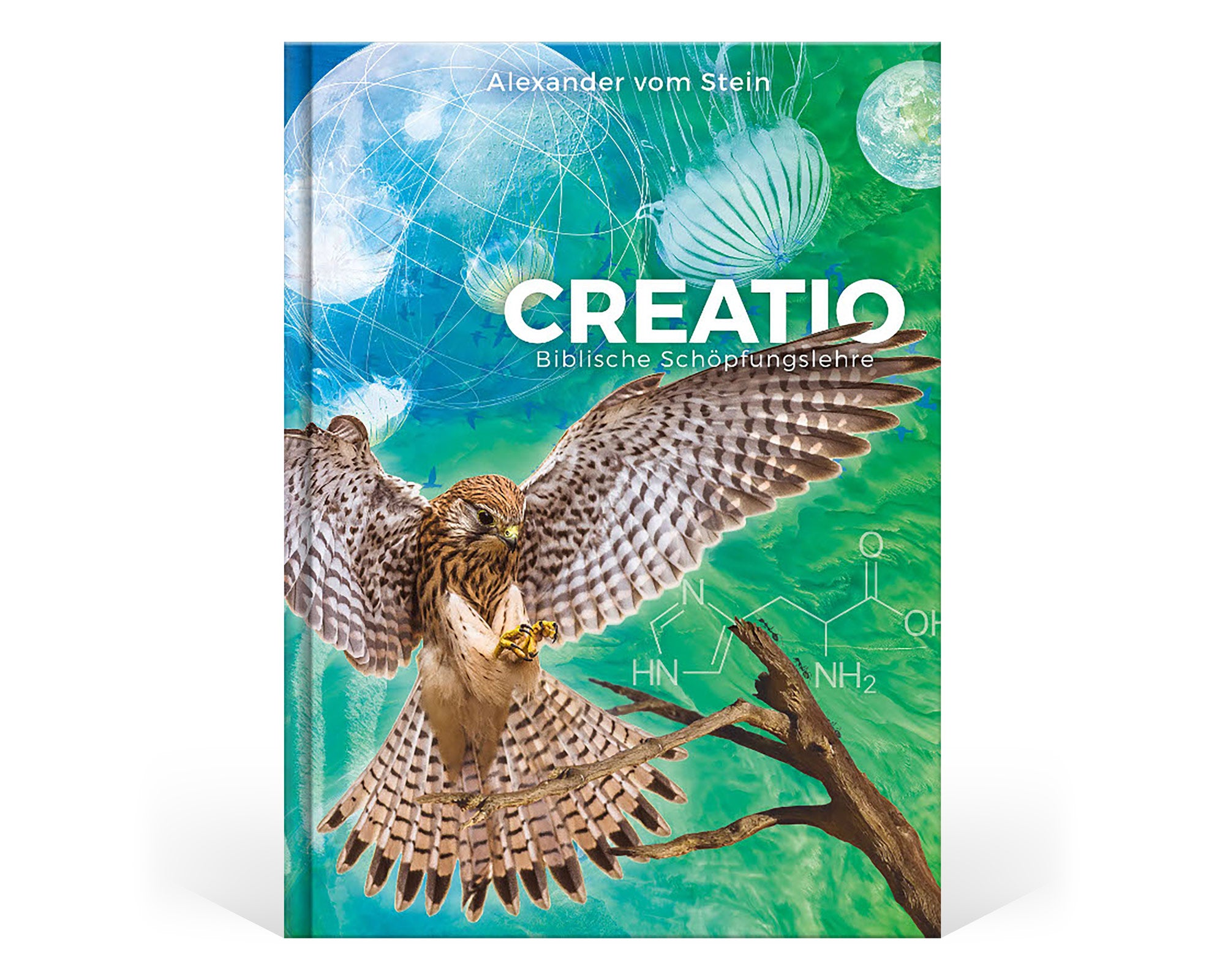 Creatio - Biblische Schöpfungslehre